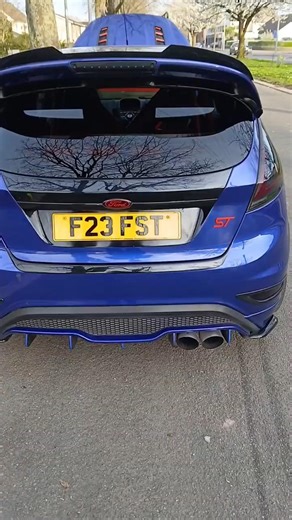 Fiesta st smoothed boot panel