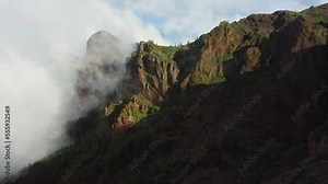 Foggy weather in desert mountain volcanic landscape on Teide National Park with coniferous tree forest on cloudy day. Sunshine. Hiking area. Highest volcano in Spain.