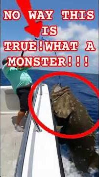 DAY 1 - Extreme Battles with Massive Fish You Won’t Believe! #Fishing #BigCatch #SportFishing