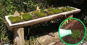 WATCH: Make Your Own Beautiful Log Planter For Your Yard