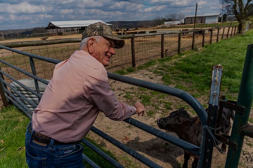 Interested in Protecting Your Land?
