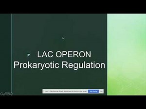 Prokaryotic Regulation - Lac operon