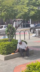 The legendary magic bush 🤣 #funnyvideos #funnymoments #prankvideos #funnyvideo #funny #prank #funnyprank | streethumor02