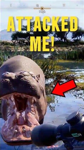 I Got ATTACKED By A Hippo In WOTH 2