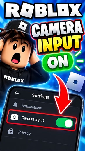 How to Turn On Camera Input in Roblox Mobile (Enable Camera Input)