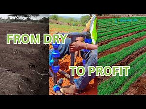 How Aqua-Hub Kenya is Transforming Farming with Irrigation Systems, Greenhouses & DamLiners in Kenya