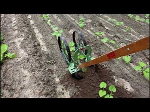 High Arch Wheel Hoe |Plowing Green Beans | Hoss Tools