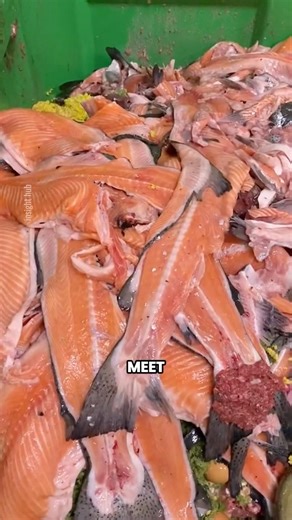 How Pet Food Is Made in Factories | Dog & Cat Food