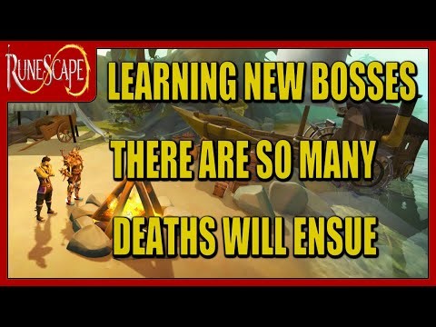 Runescape 3 live: So many bosses to kill so many mechanics to learn. Sword defender melee build.