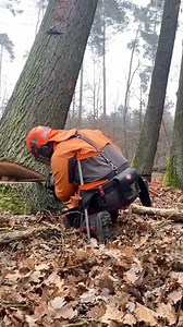 #chainsaw #lumberjacklife #woodworking #timber #forest #sawdust #axeman #logcabin #outdoorsman #woodchopping #treefelling #hardwood #woodsmen #lumberjackstyle #woodgrain #woodpile | LumberJack Zu