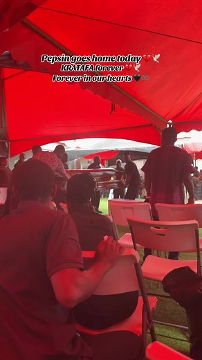 Rest in Peace, Pepsin: A Tribute to Our Beloved