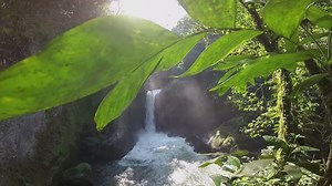 94K views · 1K shares | Video of the Day! Don’t go chasing...