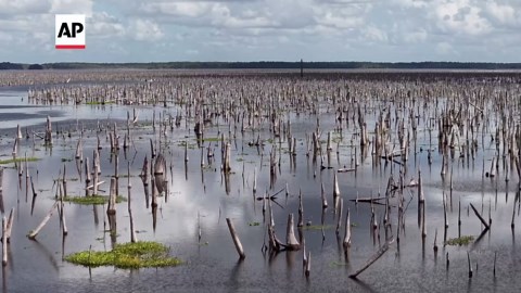 Half-century after abandoned Florida canal project, plan would restore rivers