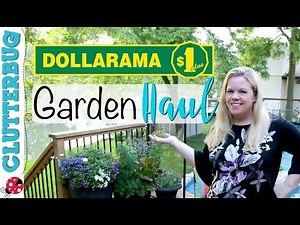 Dollarama Garden Haul - Canadian Dollar Store