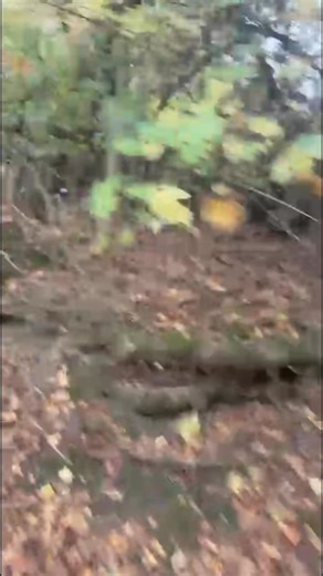 J gumble rabbit control on Reels