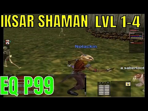 P99 Everquest BRAND NEW Iksar Shaman Level 1 / Necro Shaman Duo EQ Project 1999 green