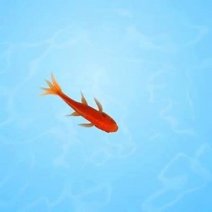 CAT GAMES - CATCHING FISH Full 10 minutes version on youtube: https://youtu.be/D0aHEQMhOj8 Enjoy the video and don't forget to subscribe to the Official "Cat Games" Youtube channel: https://goo.gl/KiF5Ts | CAT GAMES