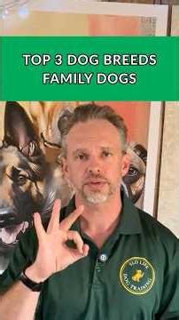 Top 3 Best Family Dog Breeds — Trainer’s Picks