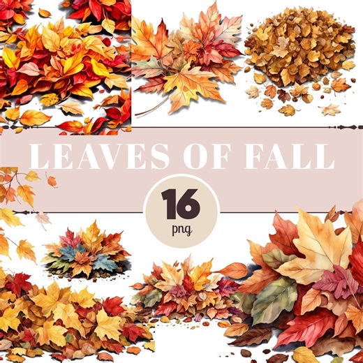 Autumn Leaves PNG Clipart – Fall Foliage Illustrations for Journals, Scrapbooking & Seasonal Crafts - Etsy