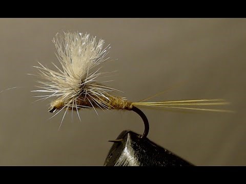PMD dry fly (Pale Morning Dun) How to tie a pmd mayfly dry fly for fly fishing mayfly hatches.