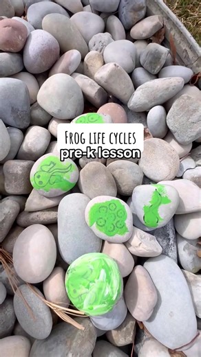 Exploring Frog Life Cycles with Preschool Activities