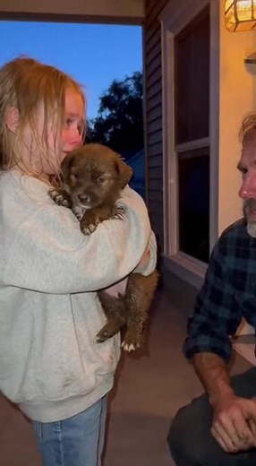 802K views · 14K reactions | “I just didn’t want him to disappear...