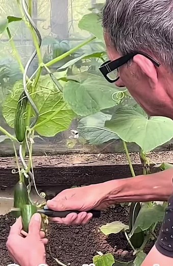 Bess (@besa2021_)’s videos with original sound - Bess