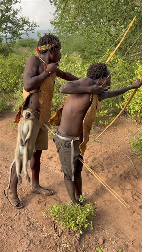 bushmen have successfully hunting
