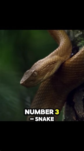 Top 5 Dangerous Places On Earth #deathvalley #cheronbyl #dangerousplaces