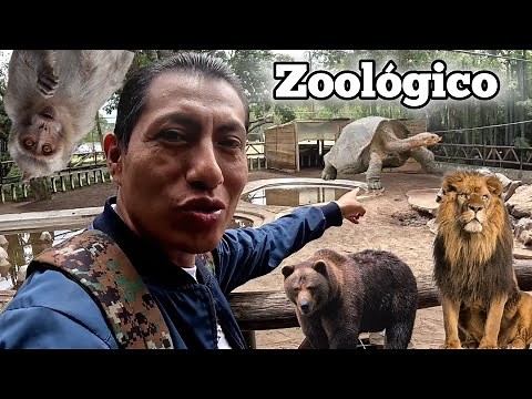 Guayllabamba Zoo, Quito, Ecuador. Ecuador Traveler 2024