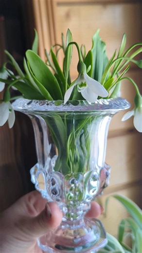 Холодний фарфор - це така полімерна глина, яка дозволяє зробити квіти з неймовірно тоненькими пелюстками, які дійсно як живі. І до того ж квіти не втрачають свою форму завдяки поетапному правильному просушуванню деталей. Квіти завжди будуть виглядати як щойно зірвані. #квтиручнаробота #квітковамайстерня #хендмейд #квітковакомпозиція #мистецтво | Oxana Fomichenko