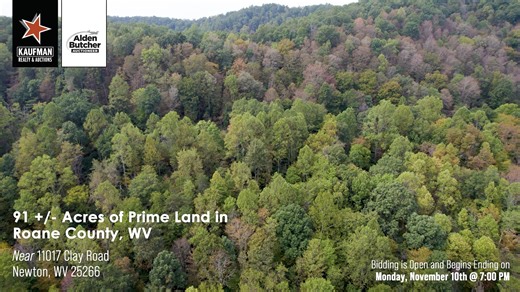 3.6K views |  New Auction Alert!  91± Acres of Prime Land in Roane...