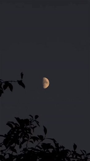 @durdana.kharim on Instagram: "Bu səs=terapiya #azərbaycan #azerbaijan #ay #moon #summer"