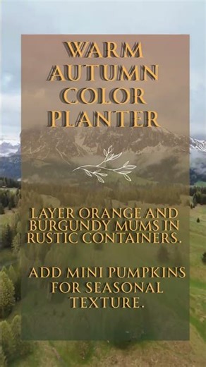 Autumn Color Planter #falldecorelegance #falldecor #garden
