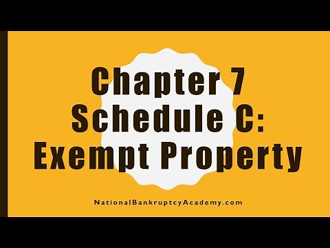 Chapter 7 Schedule C Preview, Official Bankruptcy Form 106C