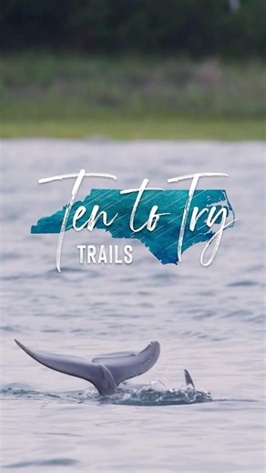 The Rachel Carson Reserve Paddle Trail explores coastal waters teeming with wildlife.