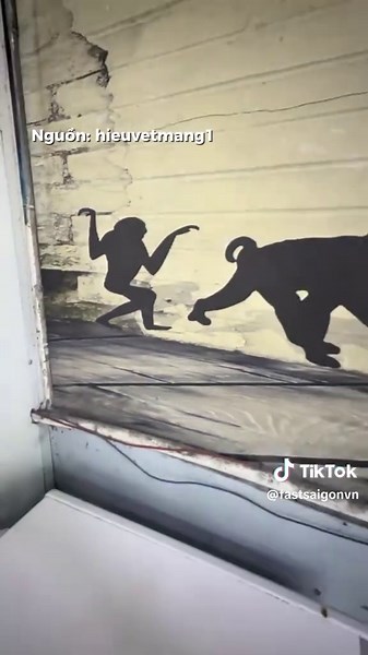 Sự Tiến Hóa Của Loài Người: Khám Phá & Thuyết Tiến Hóa