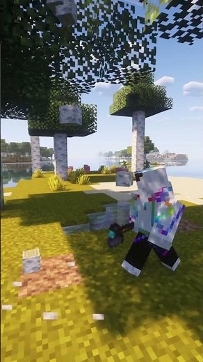 Banned Minecraft Mods #minecraft