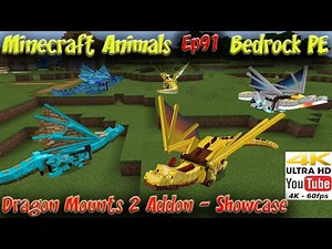 Dragon Mounts 2 Addon Showcase Tutorial Ride on Dragons Minecraft Bedrock PE Minecraft Animals Ep91