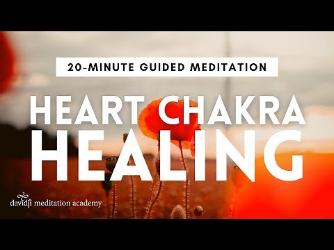 20 Minute Guided Meditation for Healing EMOTIONAL PAIN & Your HEART CHAKRA | davidji