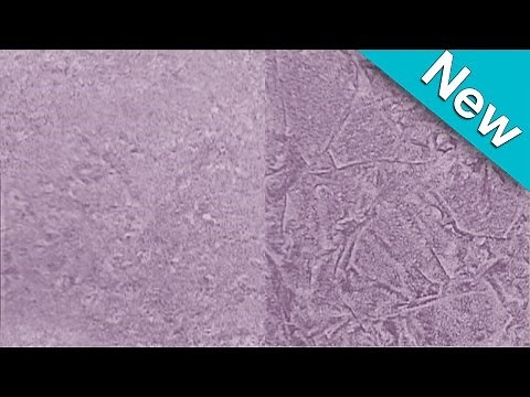 Rag Roller vs. Sponge Roller. Which Wall Faux Finish Is Best For Your Room? The Woolie #FauxPainting