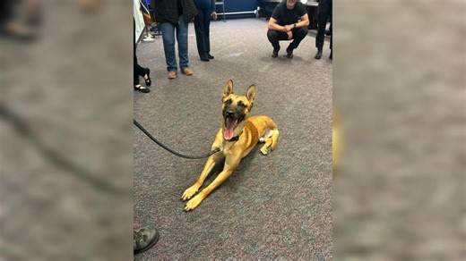 K9 Roam drops by to visit CSPD recruits
