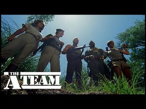 Natural Defences | The A-Team