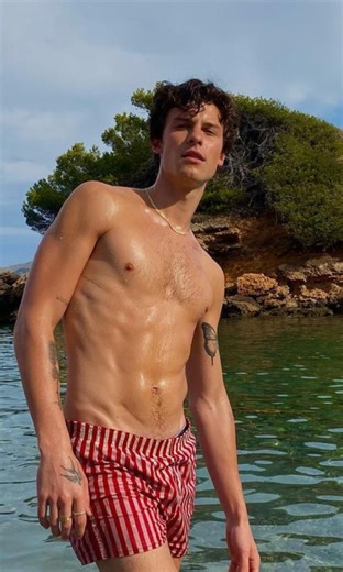 Shawn Mendes: "I'm not gay"