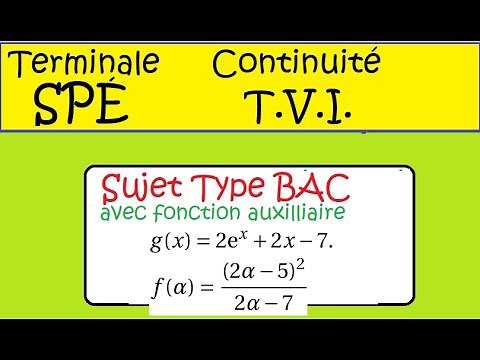 Terminale Spécialité Maths- TVI et continuité- sujet COMPLET type BAC-ex11