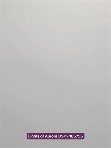 Sara Douglass, Stampin' Up! CEO on Reels