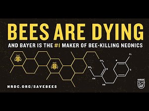Tell Bayer: Stop Killing Our Bees