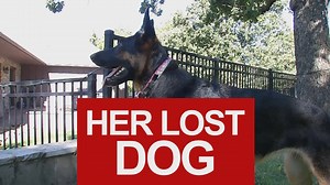 Former News On 6 anchor Tara Vreeland loves her three dogs! But when one went missing for days at Grand Lake, only a very special hero could save her. Watch the story at 5:00 pm. | KOTV - News On 6