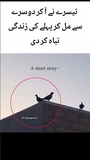 When You Trust the Wrong Person | A Short Emotional Life Lesson