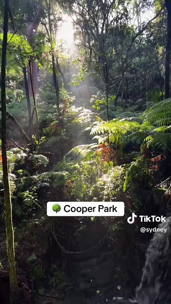 Top 3 Zen Green Spaces in Sydney